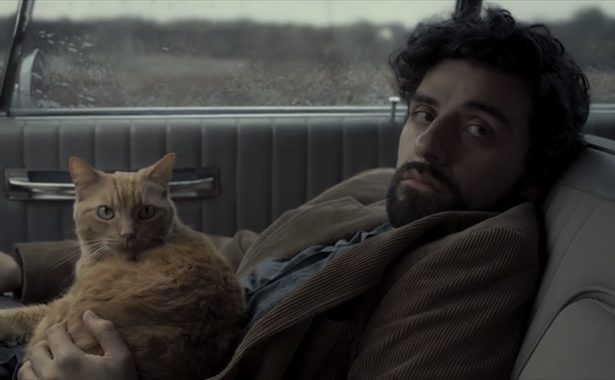 Gatos de sucesso no cinema e na TV